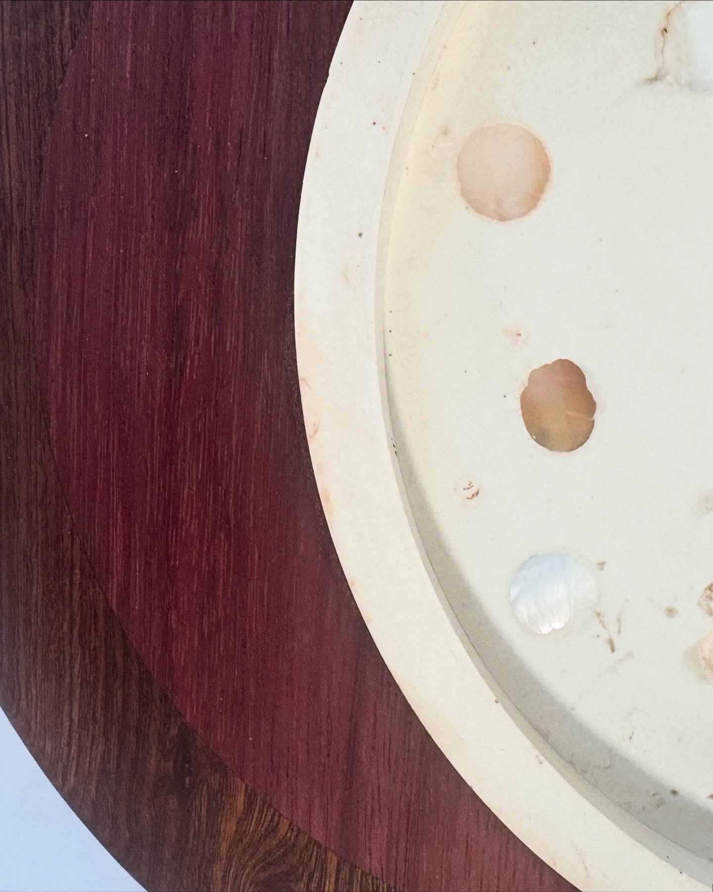 Stone and Shell by Jessica Larsen