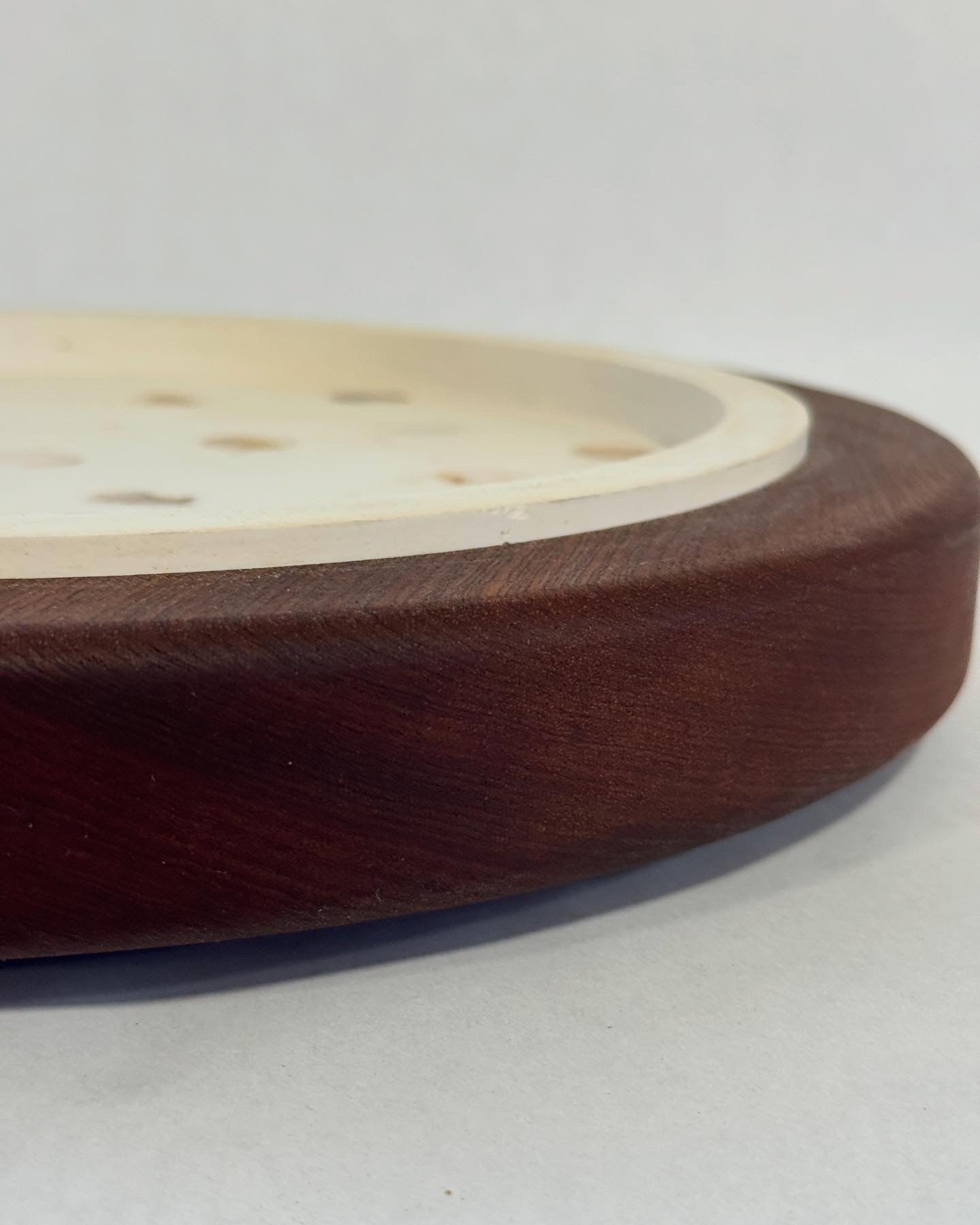 Stone and Shell by Jessica Larsen