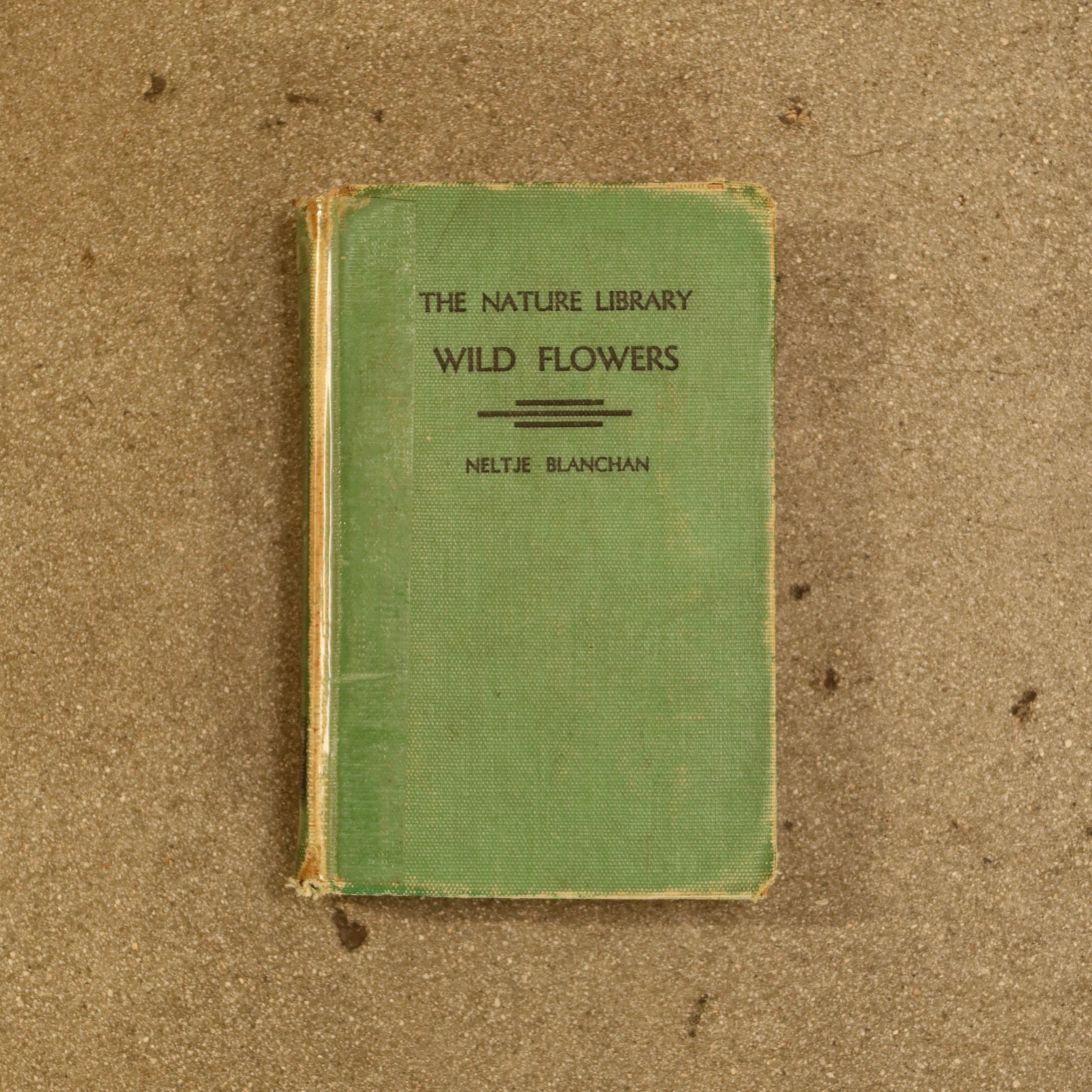 The Nature Library: Wild Flowers - Vintage