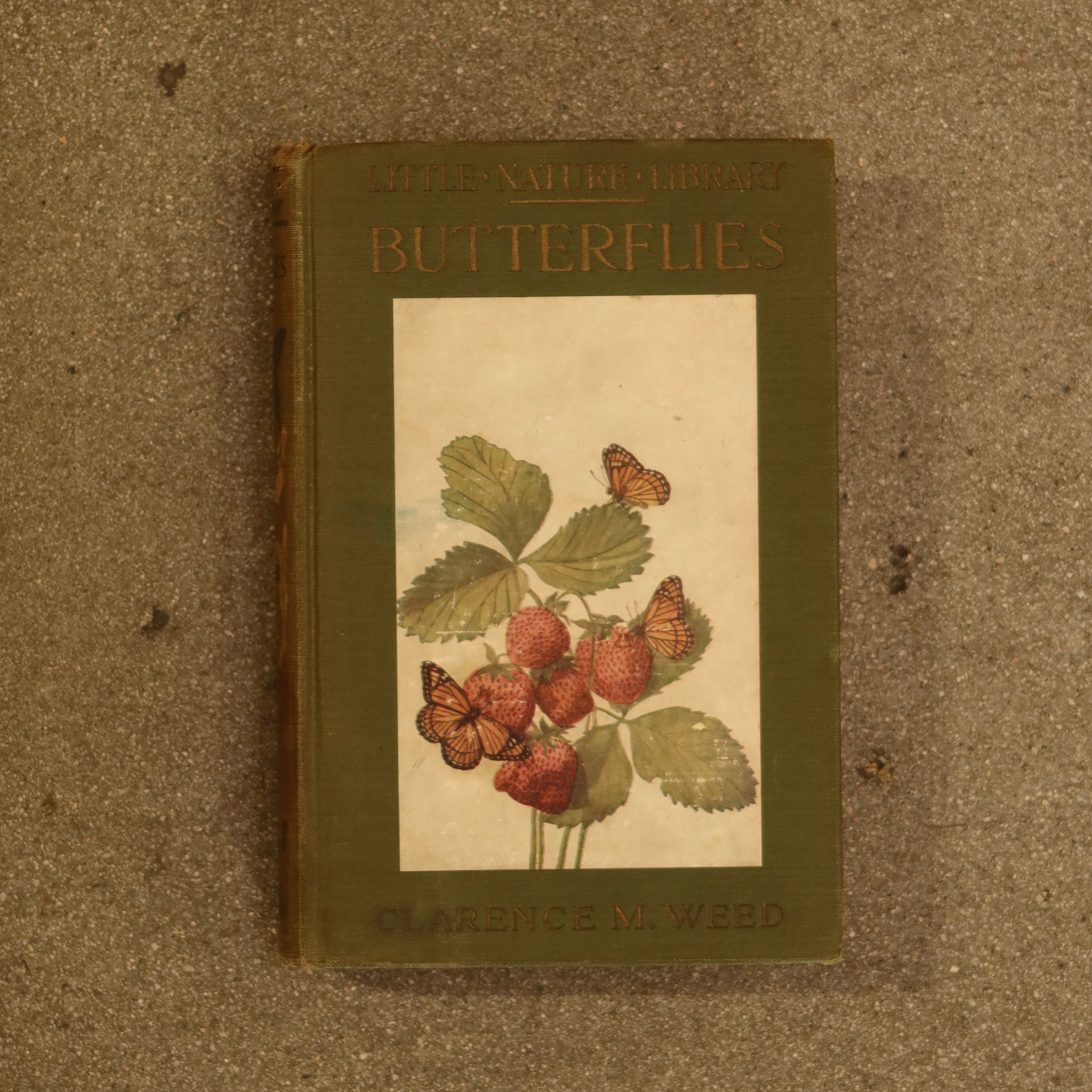 Butterflies - Vintage