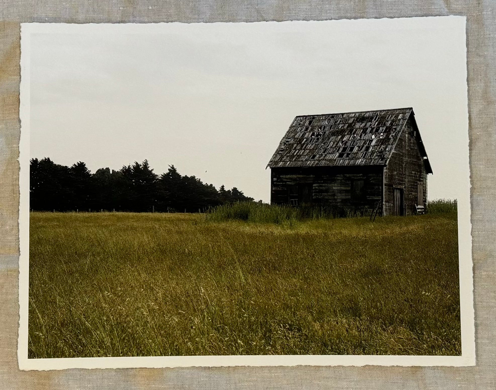 Quiet Meadows by The Natural Lens Photography