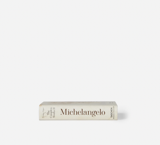 Michelangelo Book