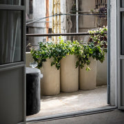 Natural Ivory Stem Planter - 12"x21.5"