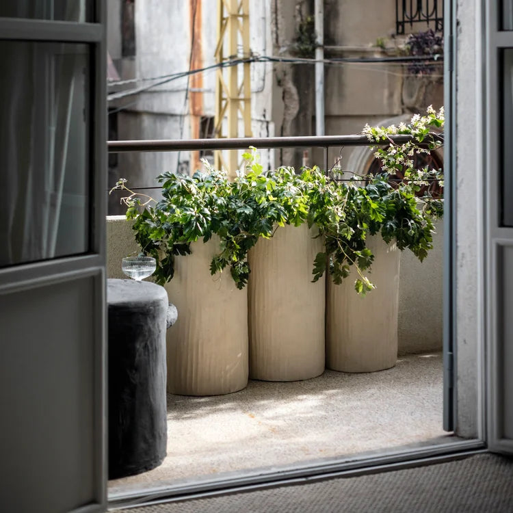 Natural Ivory Stem Planter - 12"x21.5"